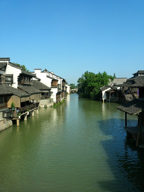 浙江,梦想起航之地,学习铸就未来