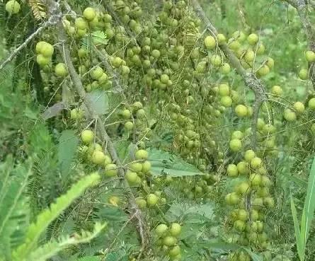 海南,热带天堂的绝美画卷