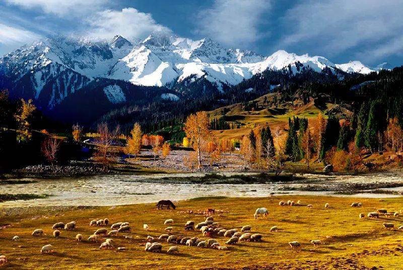 新疆，壮美多彩大地的探秘之旅