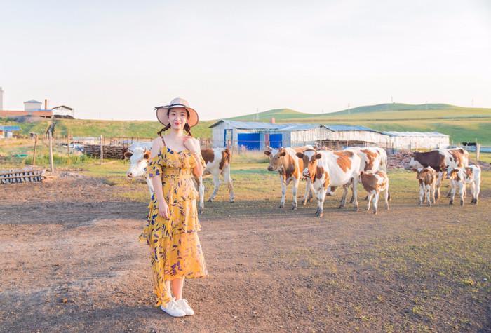 呼伦贝尔，草原之美与风情之旅